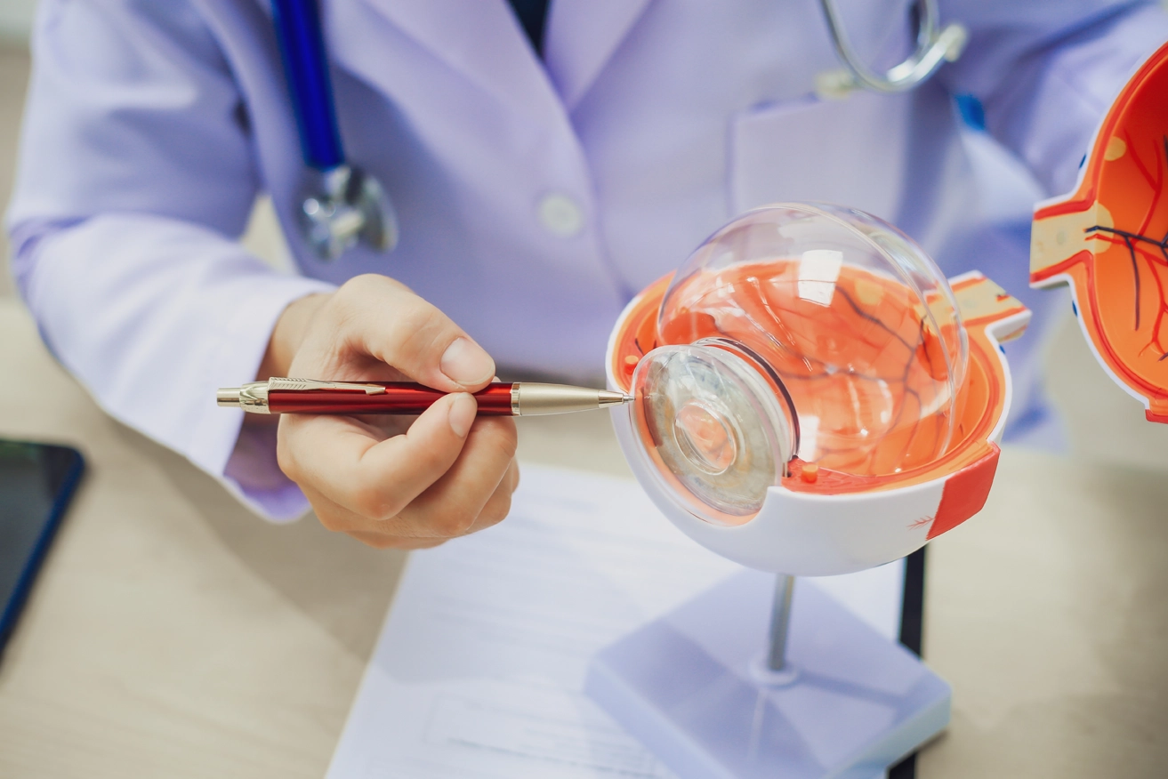 An ophthalmologist pointing to an anatomical diagram of an eye